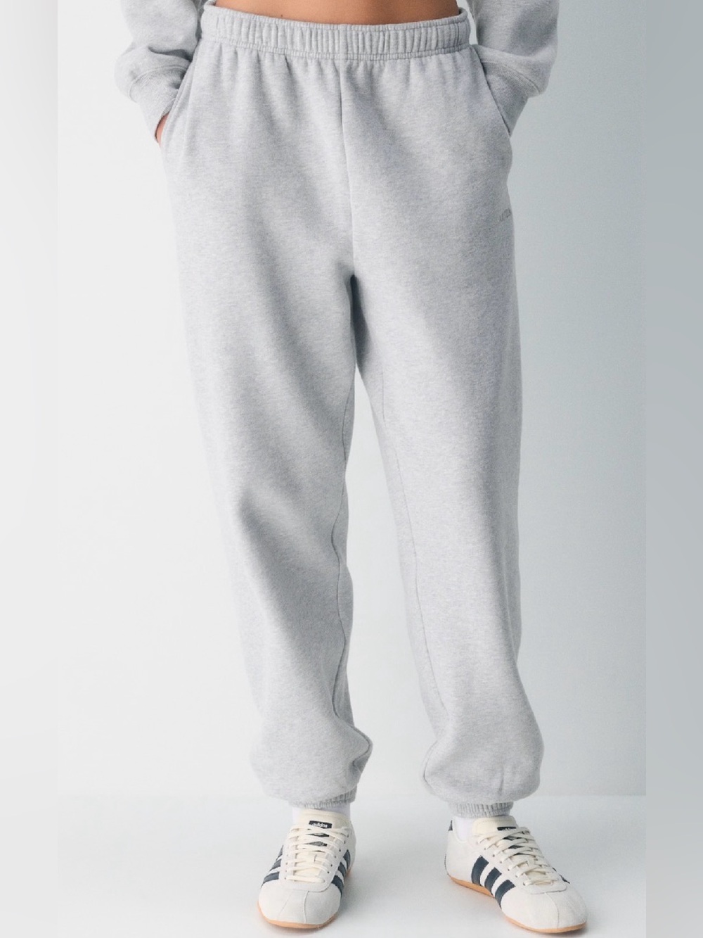 ARITZIA Cozy Sweatfleece Mega Jogger